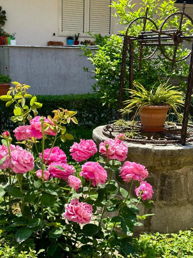 Js House Shkoder 1公寓 外观 照片