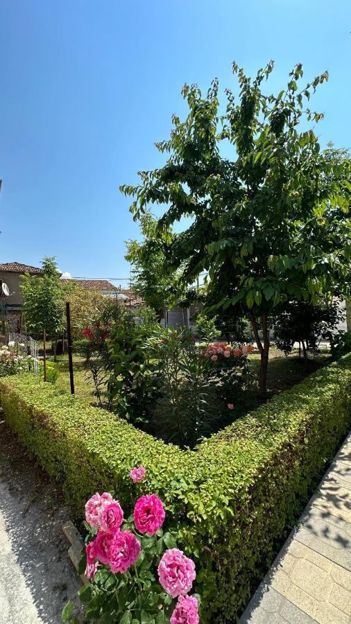 Js House Shkoder 1公寓 外观 照片